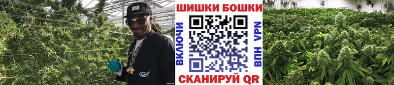 Каннабис ГИДРОПОН  Купить  Боготол 